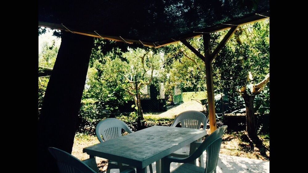 Agriturismo La Mora Assisi Esterno foto