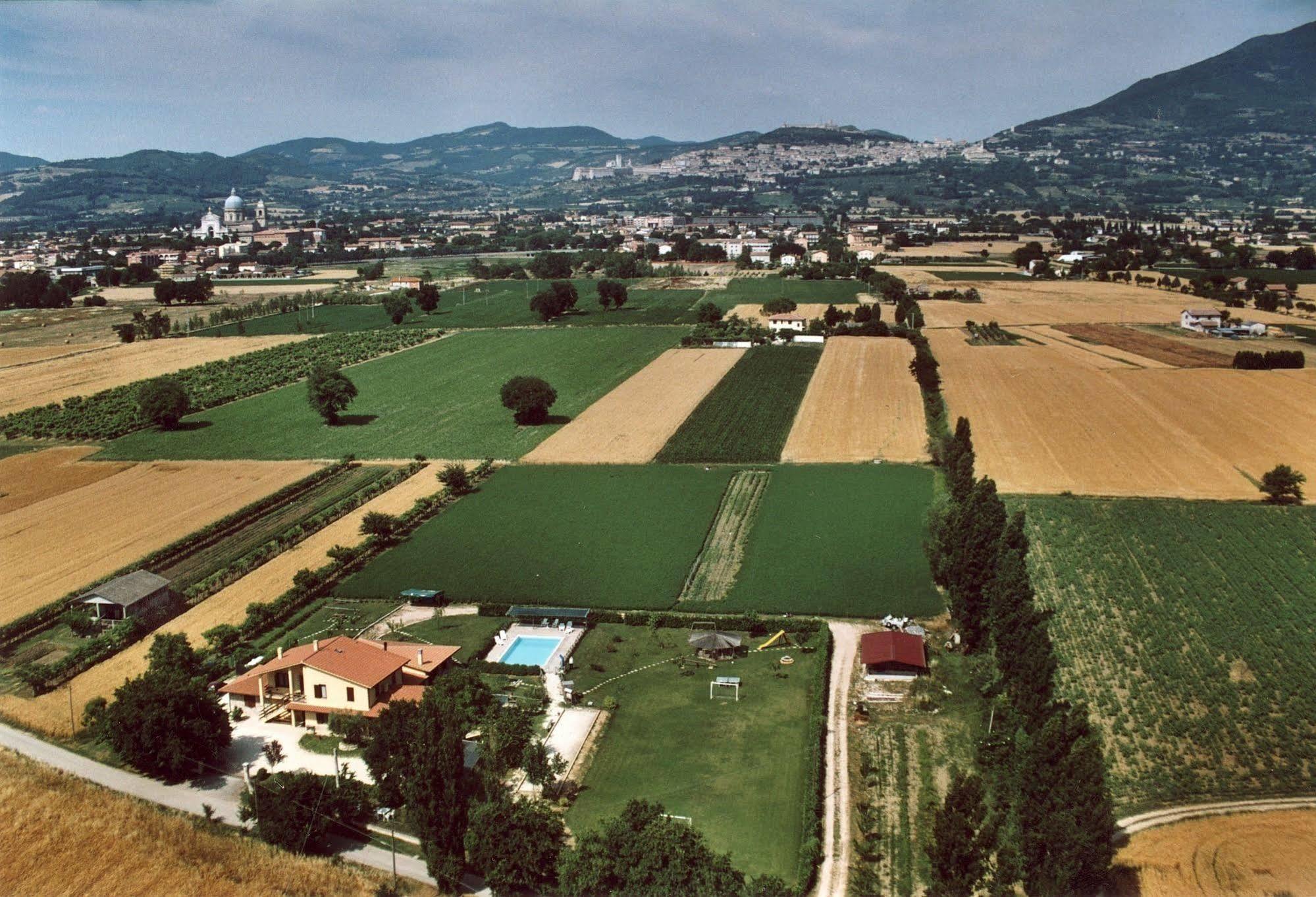 Agriturismo La Mora Assisi Esterno foto